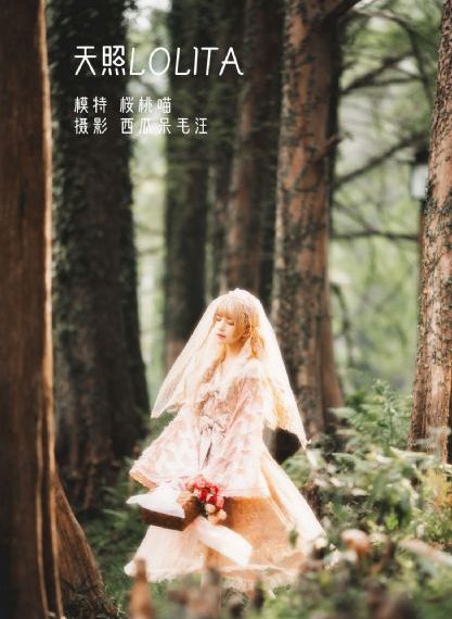骚虎影视在线观看_720免费全集观看